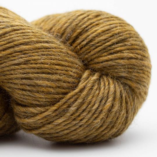 WILD WOOL