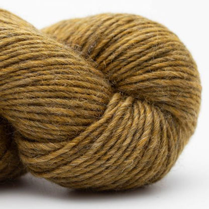 WILD WOOL