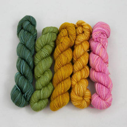 FINO MINIS KIT